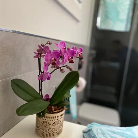 Villaggio Michelangelo Nyaraló