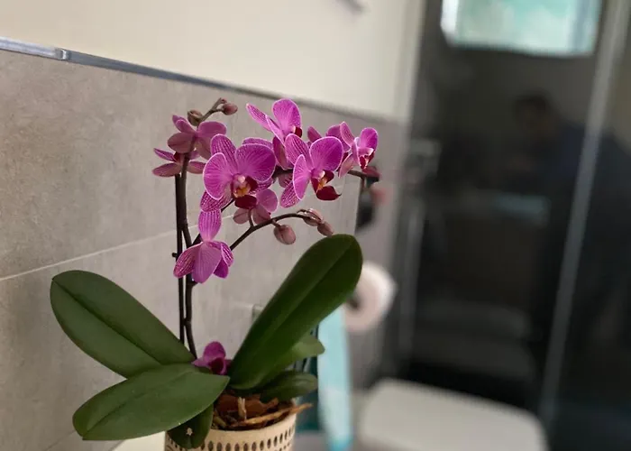 Villaggio Michelangelo Nyaraló